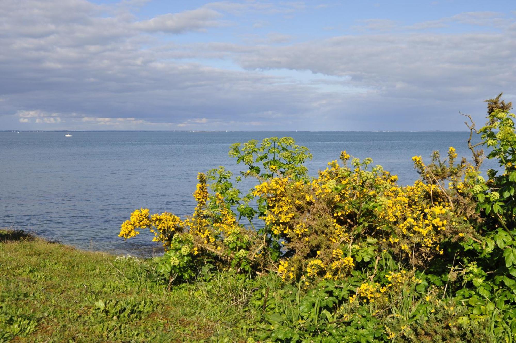 Panorama Vue Mer Quiberon Chambre photo